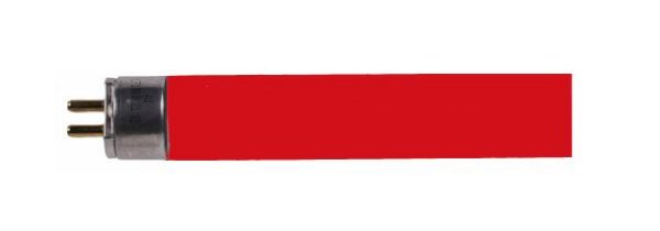 SL T5 49W rood 1449mm